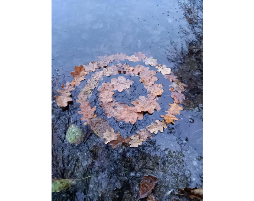 Kathrin Miklautsch, 6B - Land Art, Foto