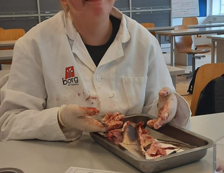 Fisch sezieren 3 Fisch sezieren 3