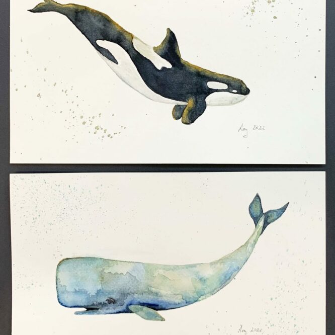 Amy Kness, 5C - Aquarell