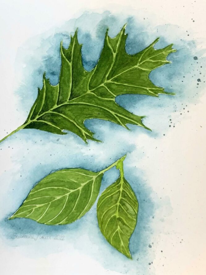 Susanne Maier, 5C - Aquarell