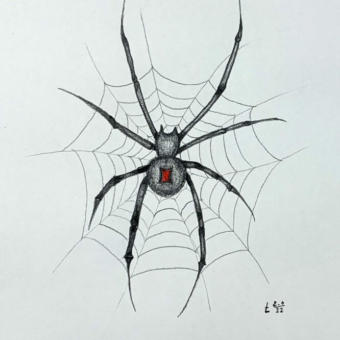 Lisa Egarter, 6A