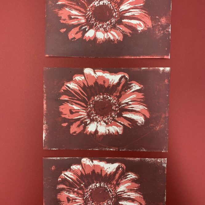 Gerbera