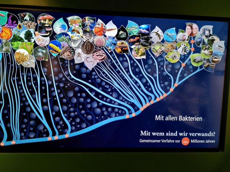 Visualisierung_Ausstellung Visualisierung Ausstellung
