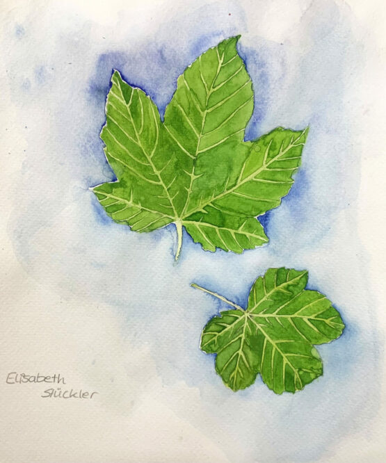 Elisabeth Stückler, 5A - Aquarell