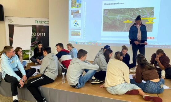Gruppendiskussion
