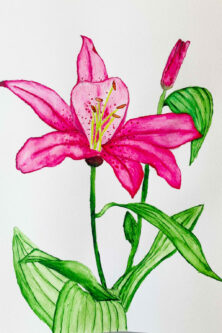 Sophia Dullnig, 5BN, Aquarell, DIN A4 Sophia Dullnig, 5BN, Aquarell, DIN A4