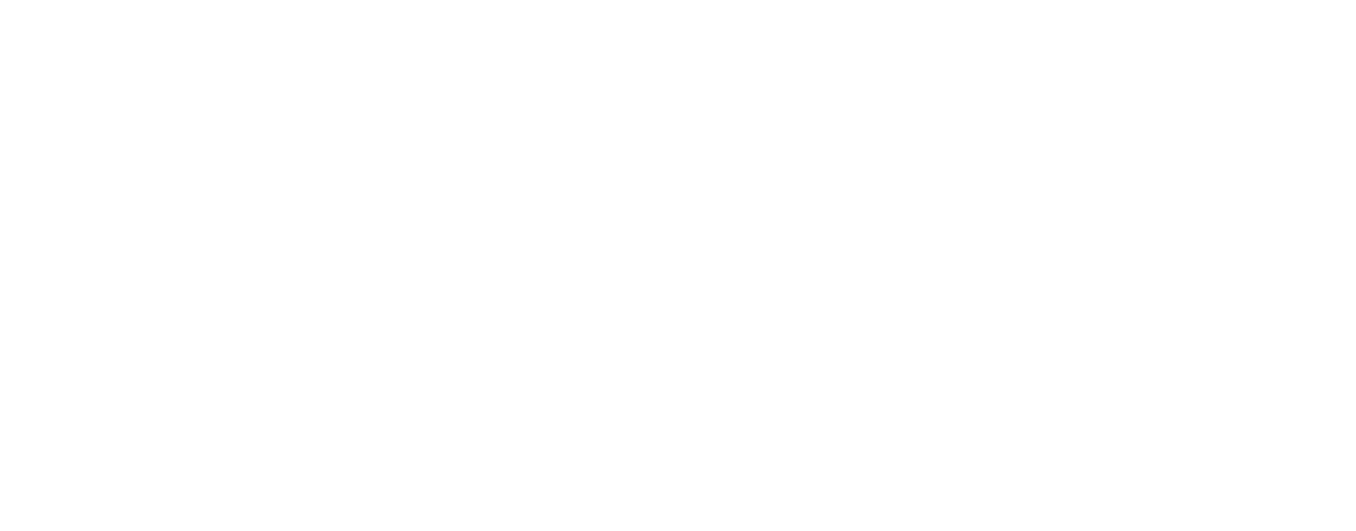 borg-kunst-quer-neg