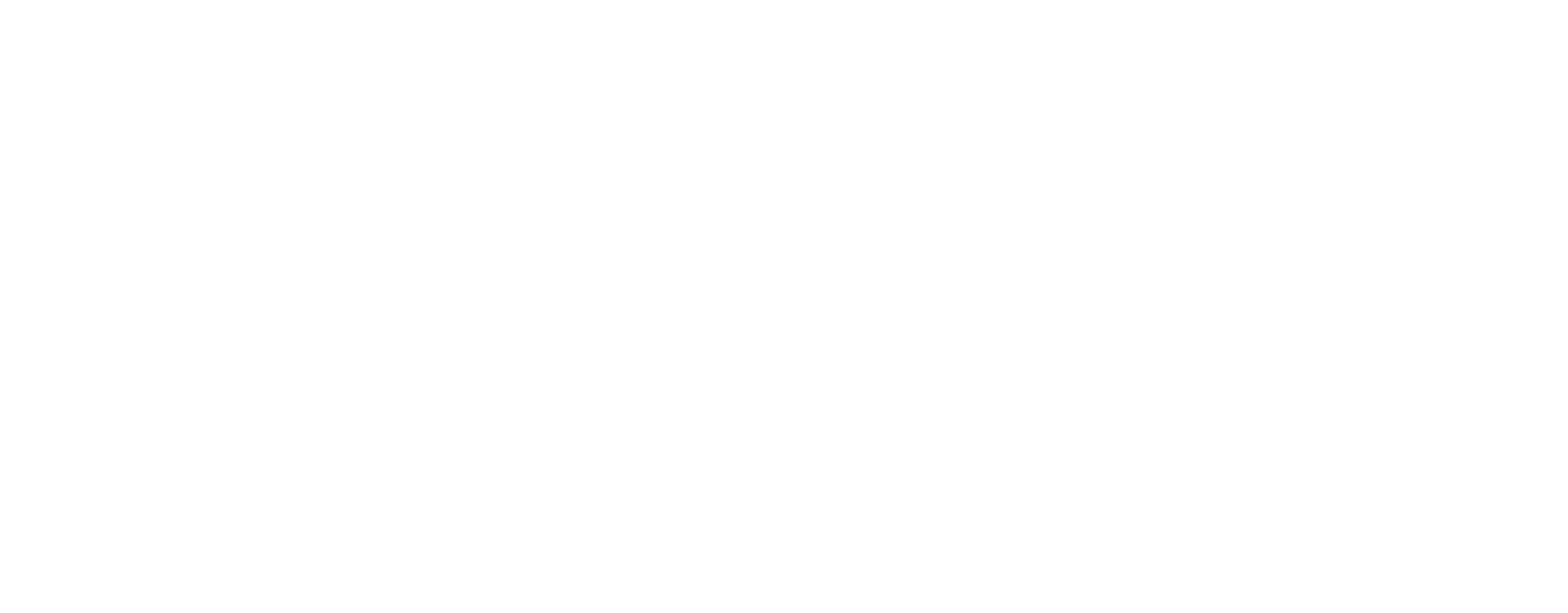 borg-musik-quer-neg