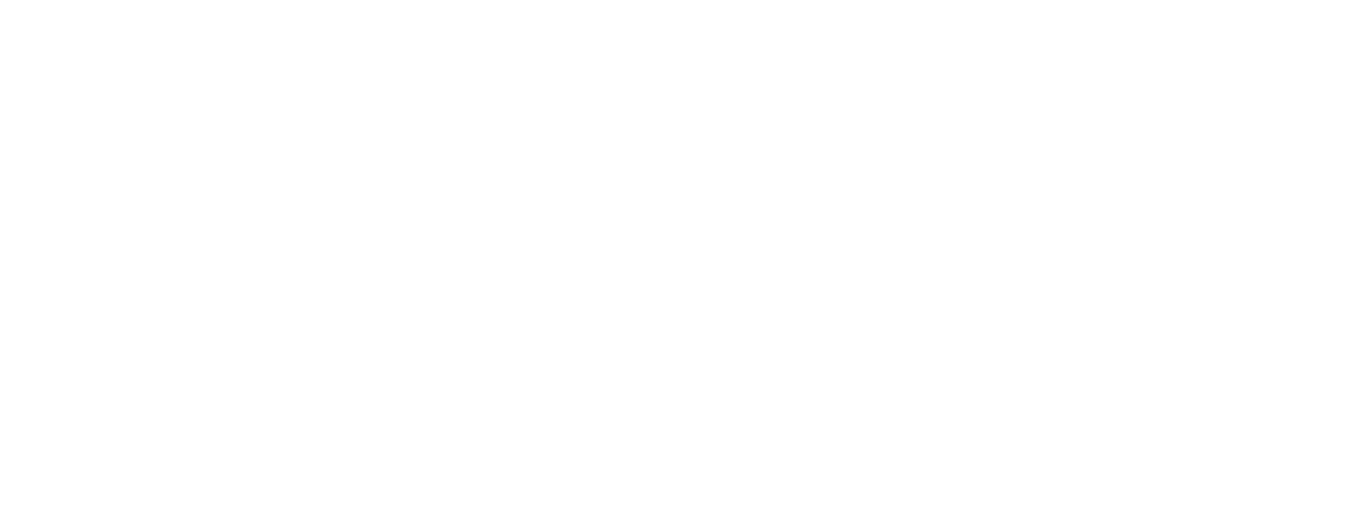 borg-nawi-quer-neg