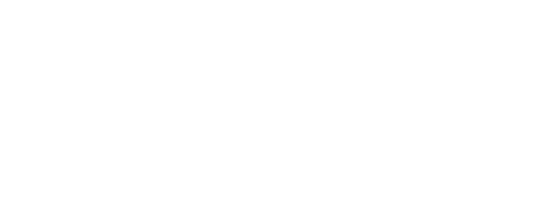 borg-sport-quer-neg