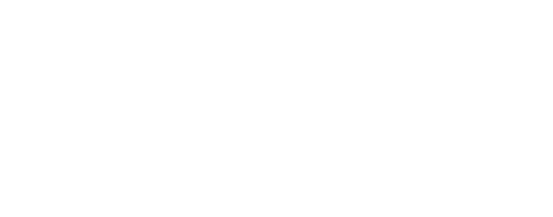 neg-logo-quer-borg