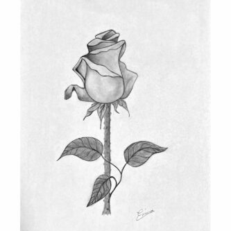 Emina Ramic, 5cn, -Bleistiftzeichnung, DIN A4 Emina Ramic, 5cn, -Bleistiftzeichnung, DIN A4