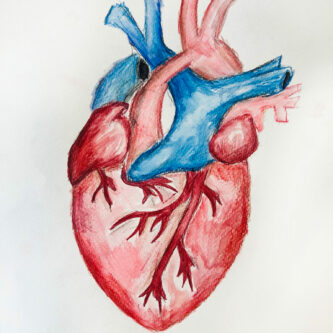 Hanna Rainer, 5ck, Aquarell, DIN A4 Hanna Rainer, 5ck, Aquarell, DIN A4